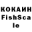 Псилоцибиновые грибы Psilocybine cubensis kenneth Baca