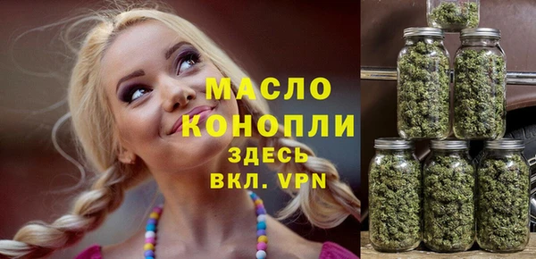 хмурый Аркадак