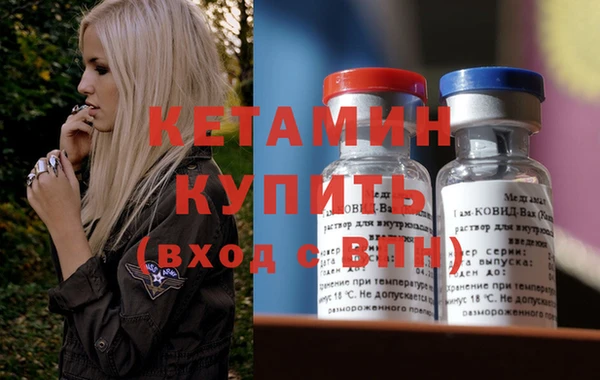 хмурый Аркадак