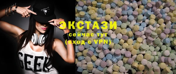 хмурый Аркадак