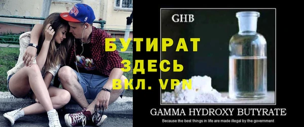 хмурый Аркадак